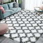 Shag Area Rugs Super Soft and Plush