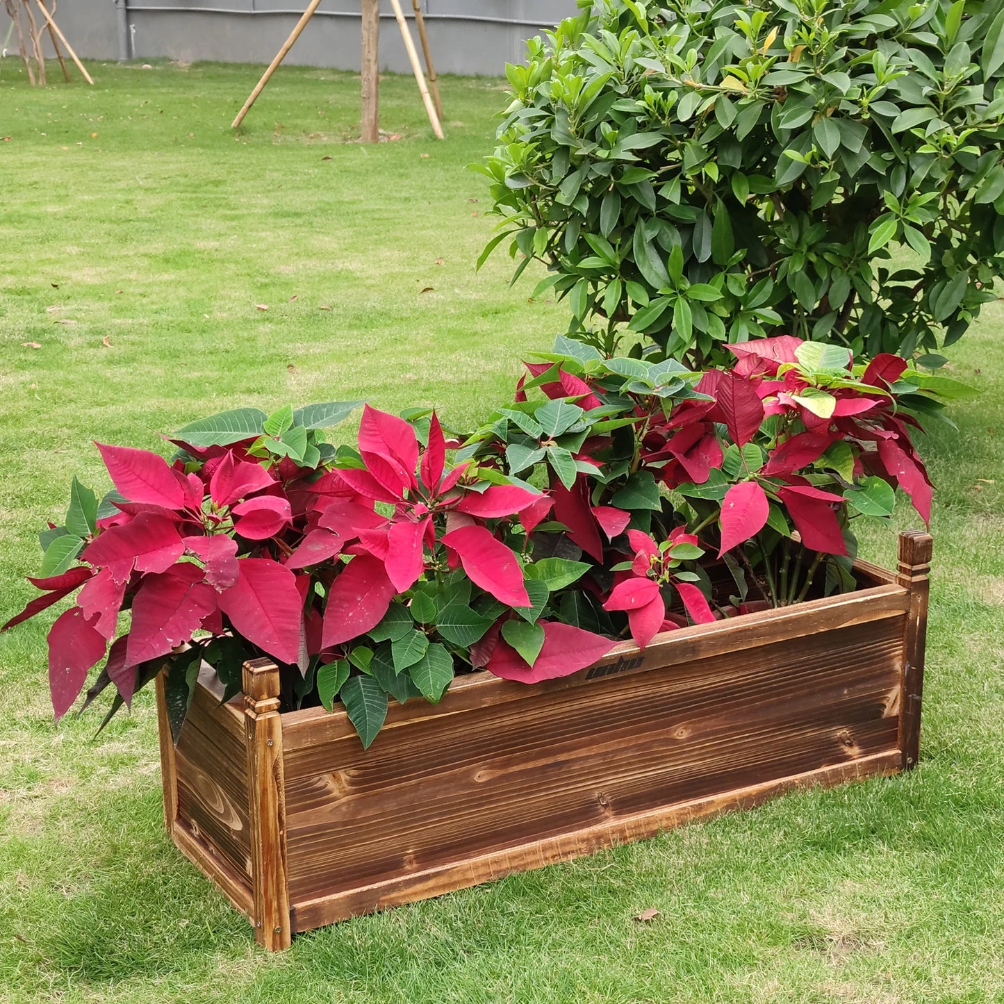 Raised Wood Garden Bed