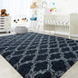 Shag Area Rugs Super Soft and Plush