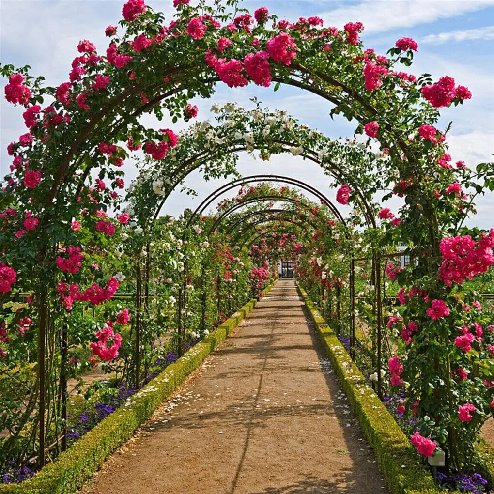 Heavy Duty Metal Outdoor Garden Archway Trellis