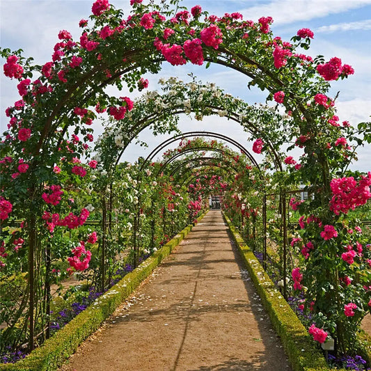 Heavy Duty Metal Outdoor Garden Archway Trellis