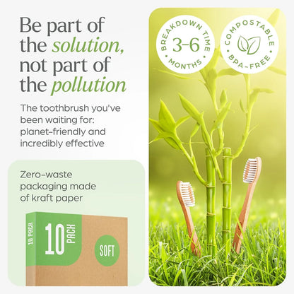 Biodegradable bamboo toothbrush 10 packs