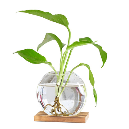 Nordic Style Wooden Hydroponic Planter