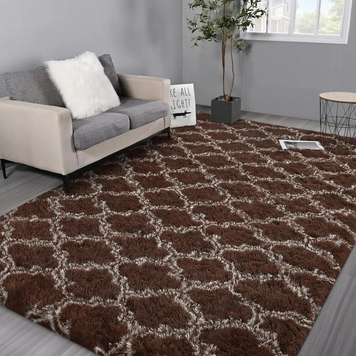 Shag Area Rugs Super Soft and Plush