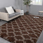 Shag Area Rugs Super Soft and Plush
